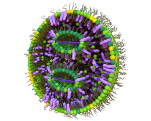 Lipid nanoparticle